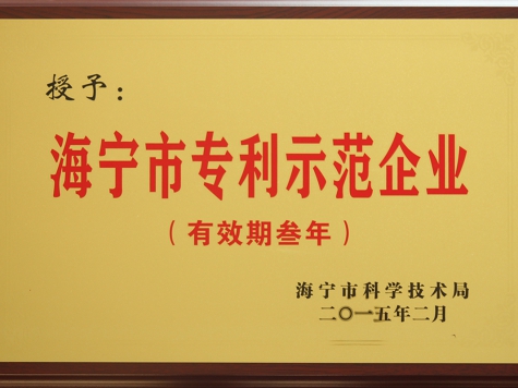 企業(yè)榮譽(yù)